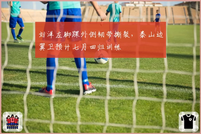 刘洋左脚踝外侧韧带撕裂，泰山边翼卫预计七月回归训练