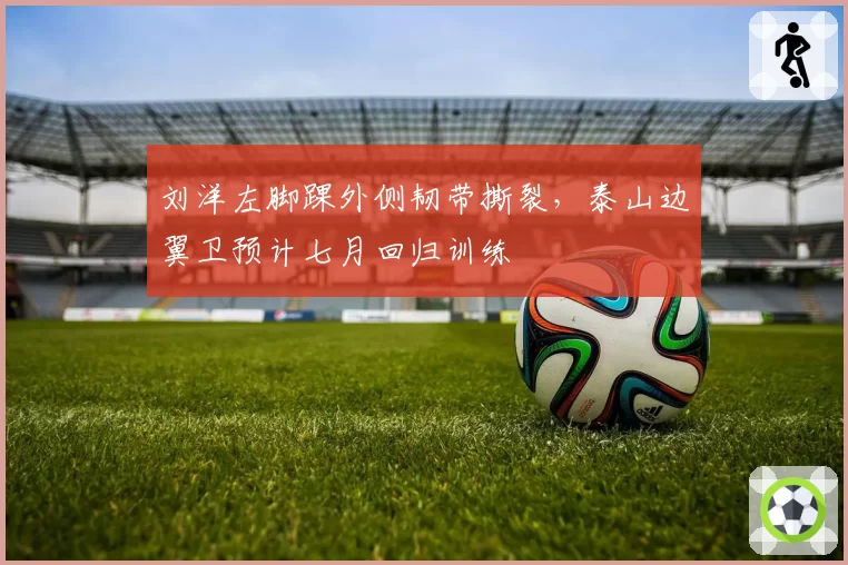 刘洋左脚踝外侧韧带撕裂，泰山边翼卫预计七月回归训练