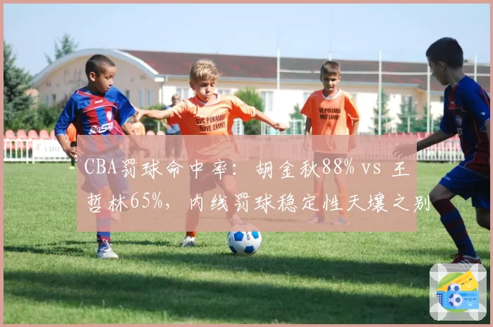 CBA罚球命中率：胡金秋88% vs 王哲林65%，内线罚球稳定性天壤之别