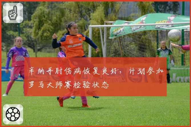 辛纳手肘伤病恢复良好，计划参加罗马大师赛检验状态