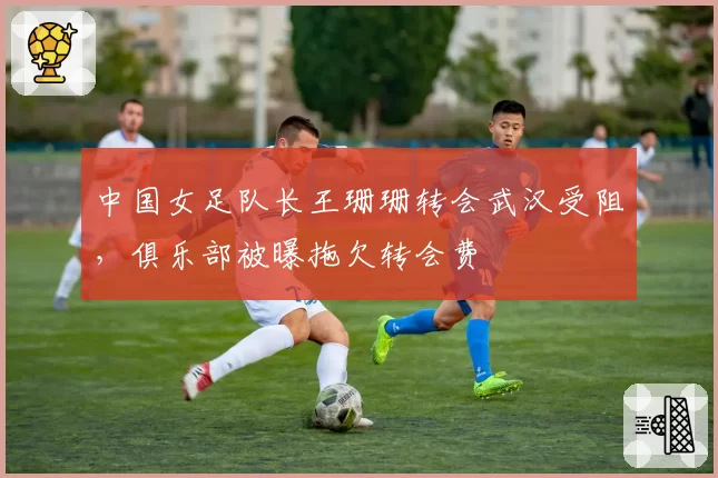 中国女足队长王珊珊转会武汉受阻，俱乐部被曝拖欠转会费