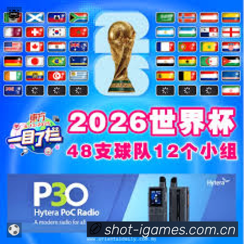 关于 爱游戏